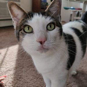 Fundraising Page: Rory Einspahr PAC Alum